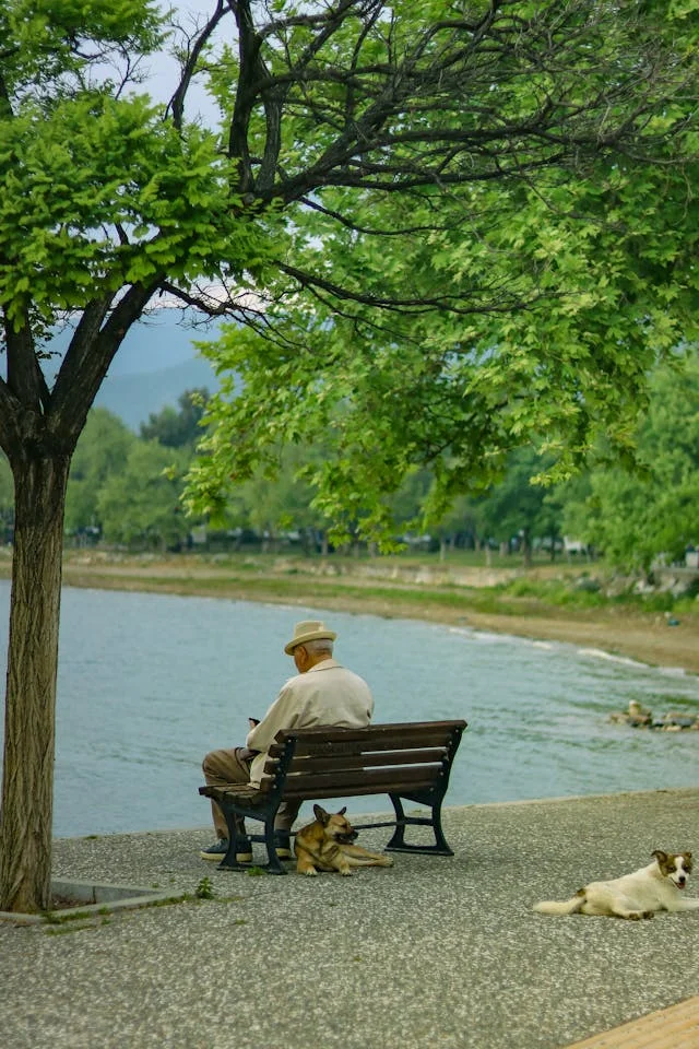 Retiring in Thailand with Pets