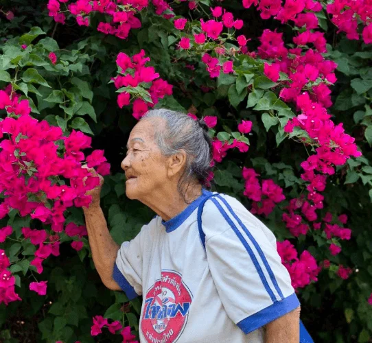 Hin Lek Fai Climate for Healthy Aging