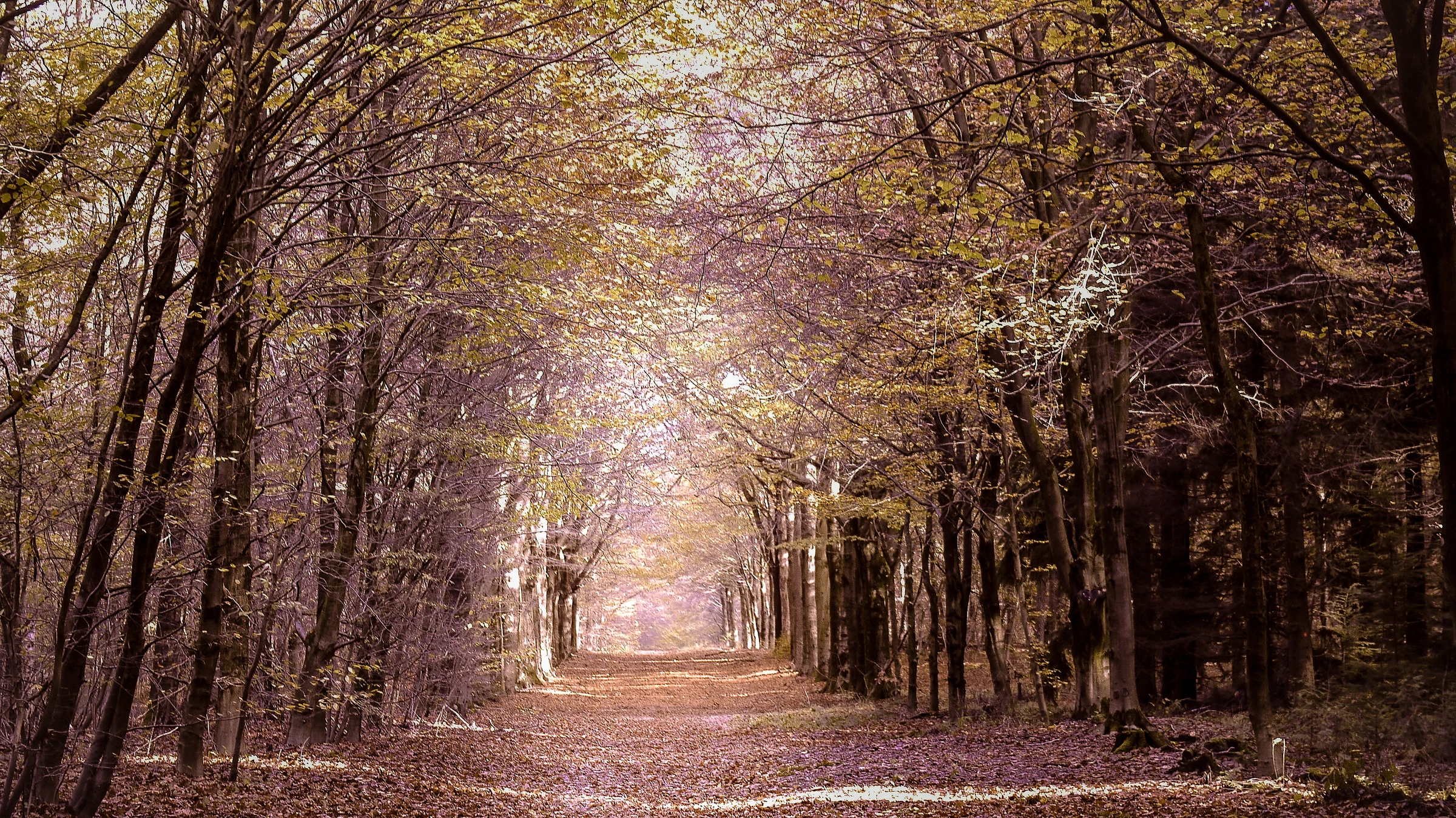 Autumn in Nijmegen