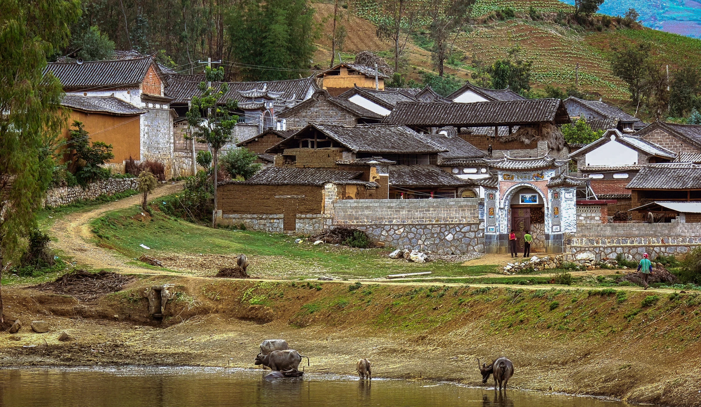 Yunnan
