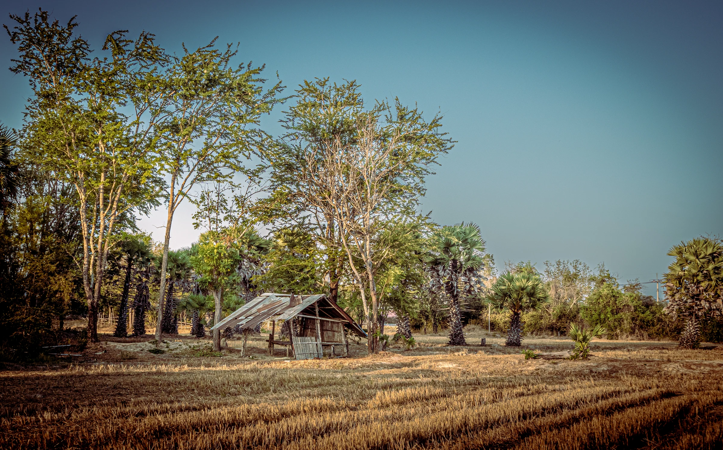Hut in fields